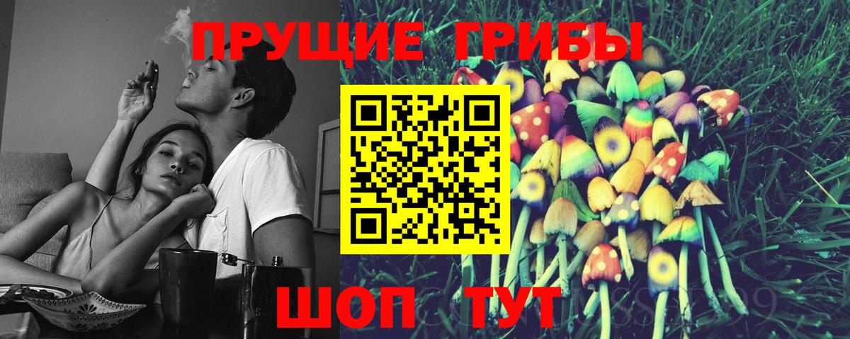 Псилоцибиновые грибы Psilocybe  сколько стоит  Вход с VPN  Армавир  Галлюциногенные грибы мицелий 